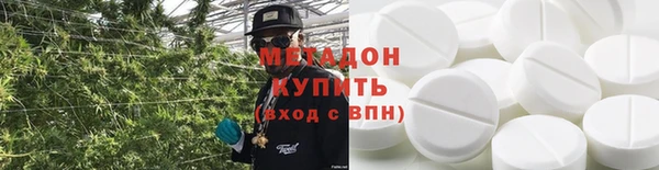 прущие грибы Гусев