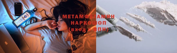 прущие грибы Гусев