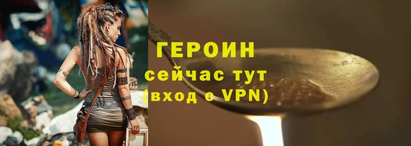 прущие грибы Гусев