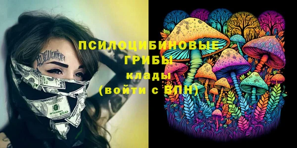 прущие грибы Гусев