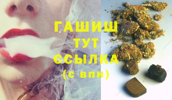 прущие грибы Гусев