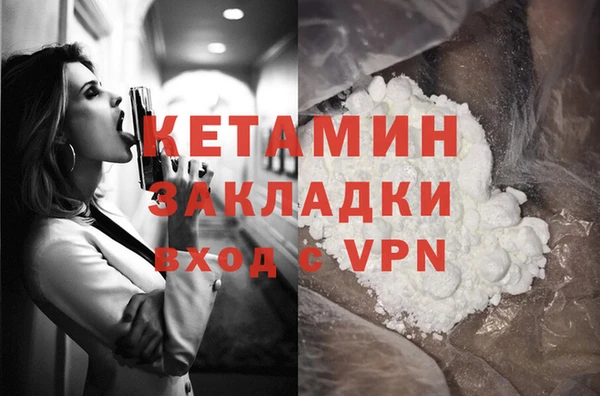 прущие грибы Гусев