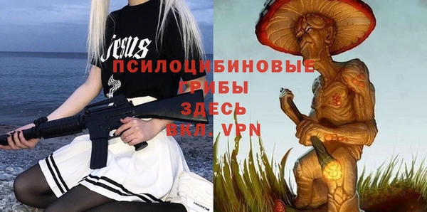 2c-b Гусиноозёрск