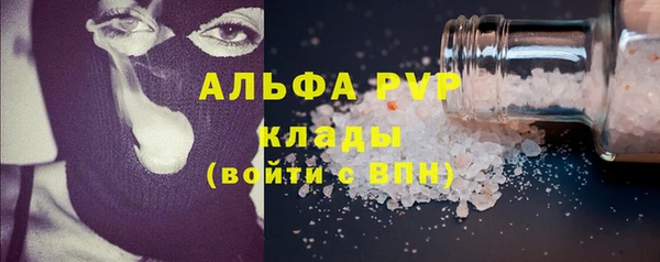 прущие грибы Гусев
