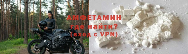 прущие грибы Гусев