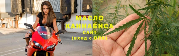 прущие грибы Гусев